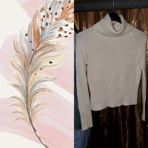 ❣2/$30Ann Taylor sweater